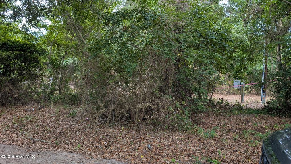Photo of 124 Old Farm Road, Hampstead, NC 28443 (MLS # 100577290)