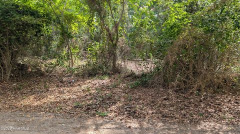 Tiny photo for 124 Old Farm Road, Hampstead, NC 28443 (MLS # 100577290)