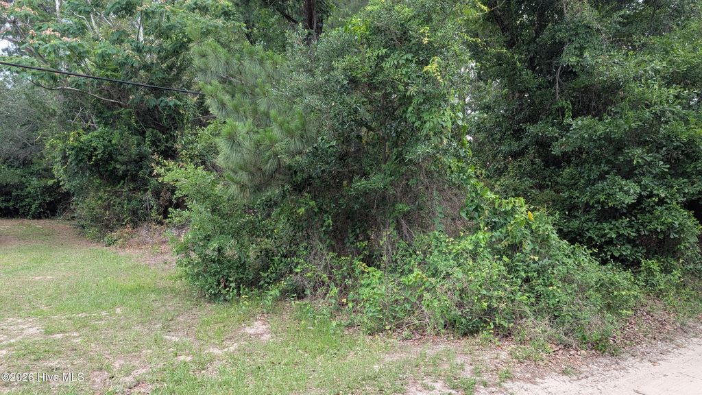 Photo of 124 Old Farm Road, Hampstead, NC 28443 (MLS # 100577290)