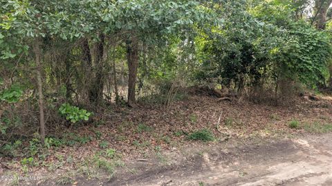 Tiny photo for 124 Old Farm Road, Hampstead, NC 28443 (MLS # 100577290)
