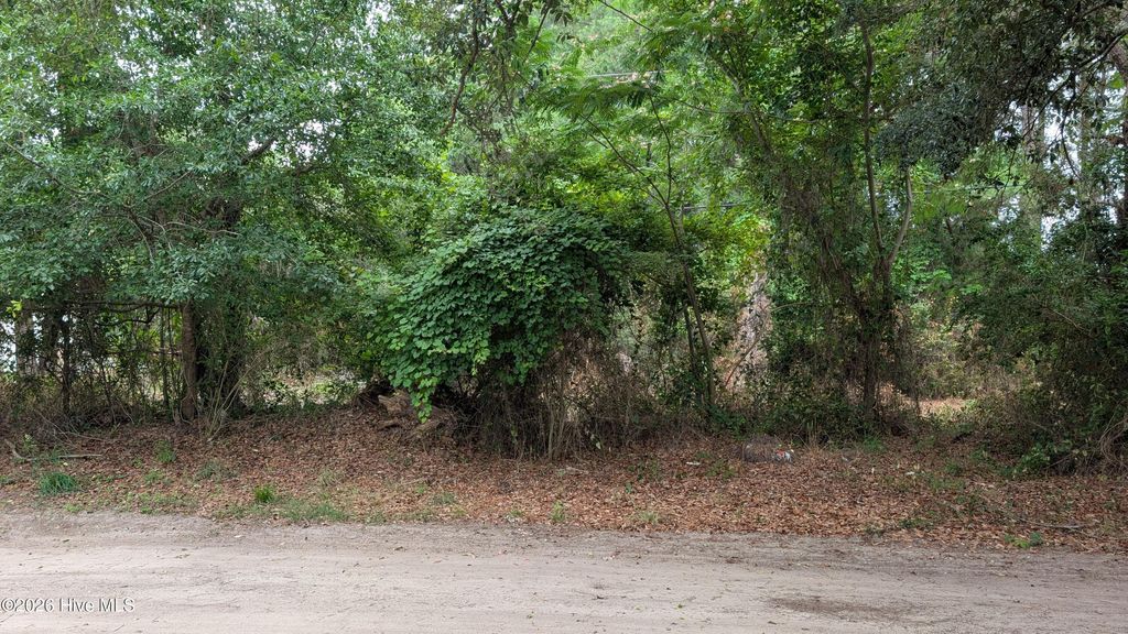 Photo of 124 Old Farm Road, Hampstead, NC 28443 (MLS # 100577290)