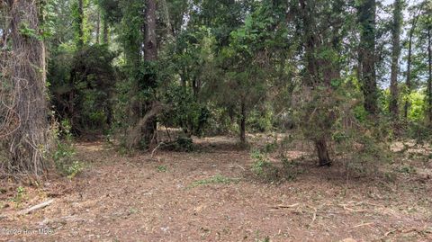 Tiny photo for 124 Old Farm Road, Hampstead, NC 28443 (MLS # 100577290)