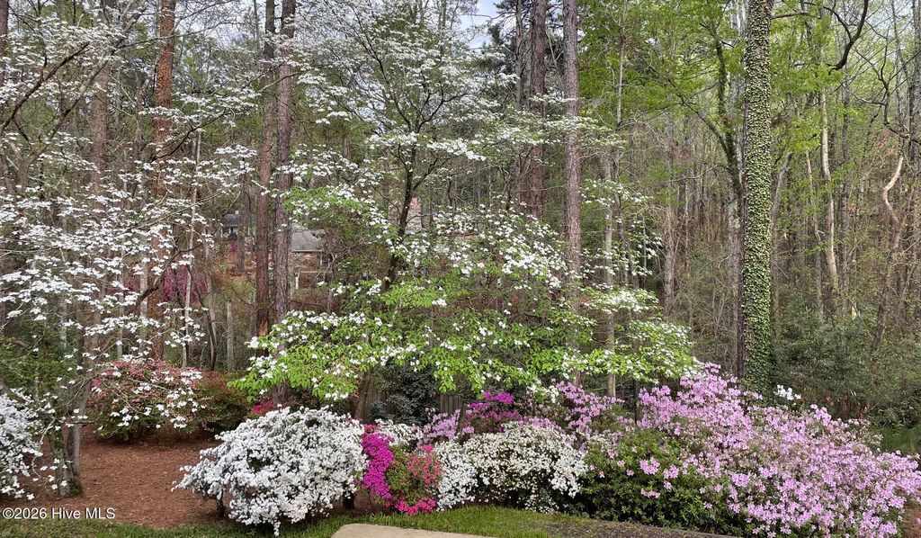 Photo of 957 Sandavis Road, Southern Pines, NC 28387 (MLS # 100561462)