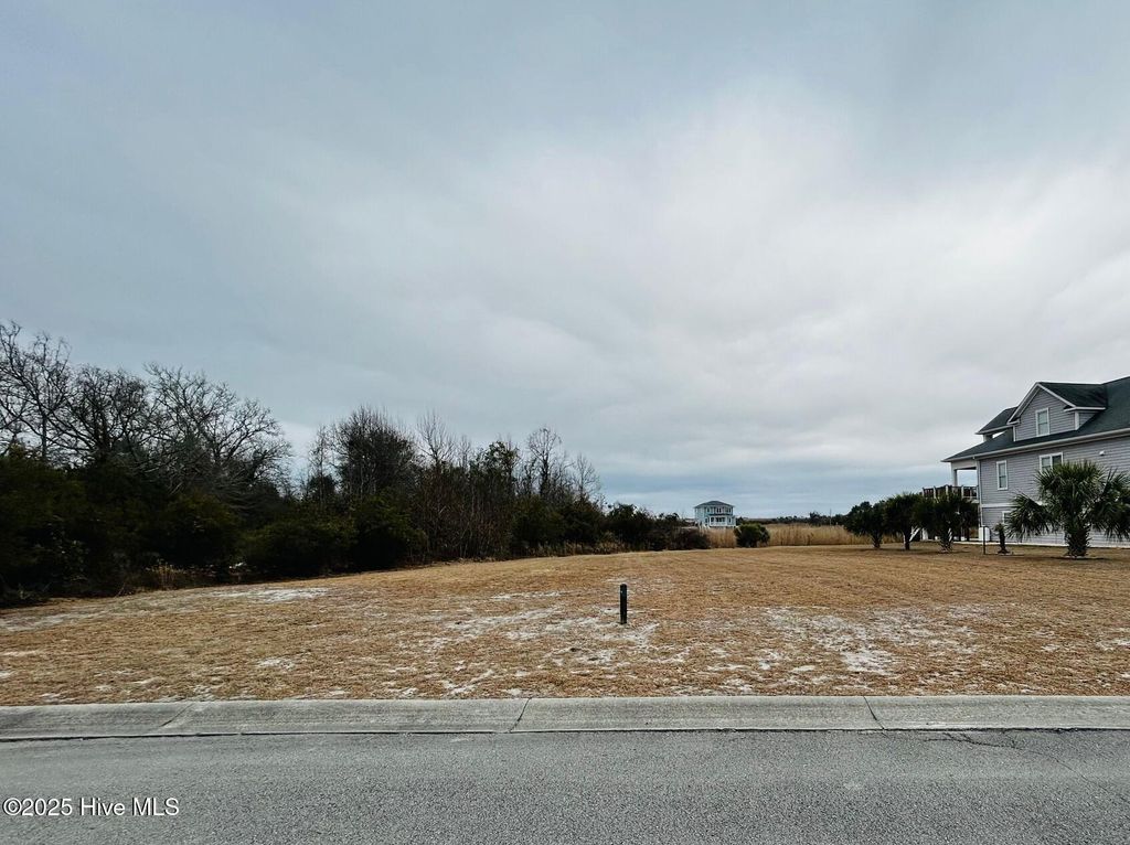 Photo of 104 Brandon Avenue, Hubert, NC 28539 (MLS # 100490759)