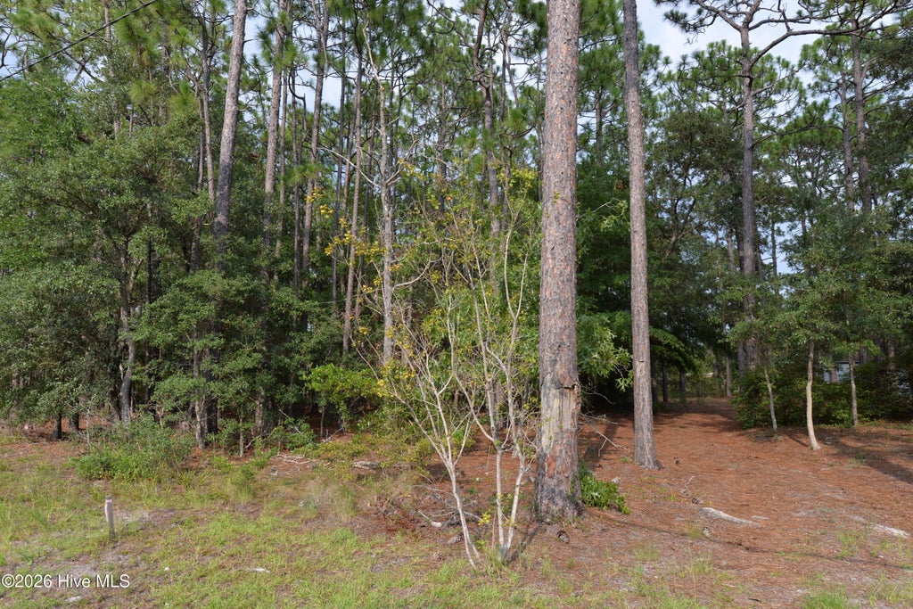 Photo of 873 Eden Drive, Southport, NC 28461 (MLS # 100598945)