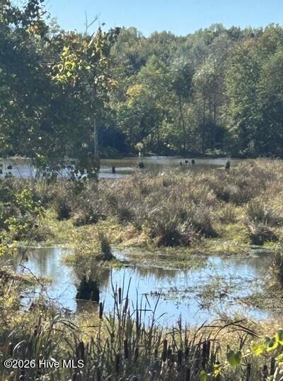 Photo of 000 Nash County Line Road, Castalia, NC 27816 (MLS # 100612069)