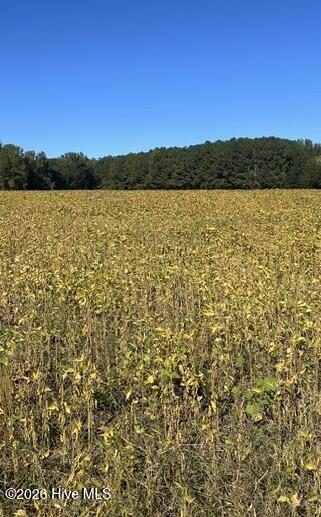 Photo of 000 Nash County Line Road, Castalia, NC 27816 (MLS # 100612069)