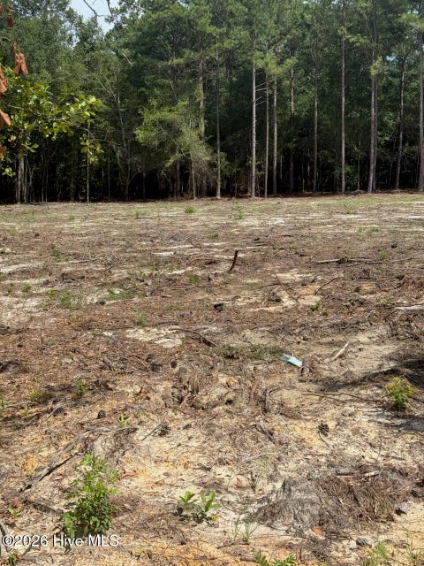 Vacant Land For Sale - 107051-1 Hancock Landing Road<br/> Waynesboro, GA 30830