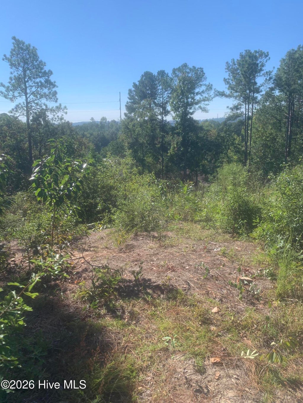 Photo of 2333 Rutherford Avenue, Augusta, GA 30906 (MLS # 100607038)