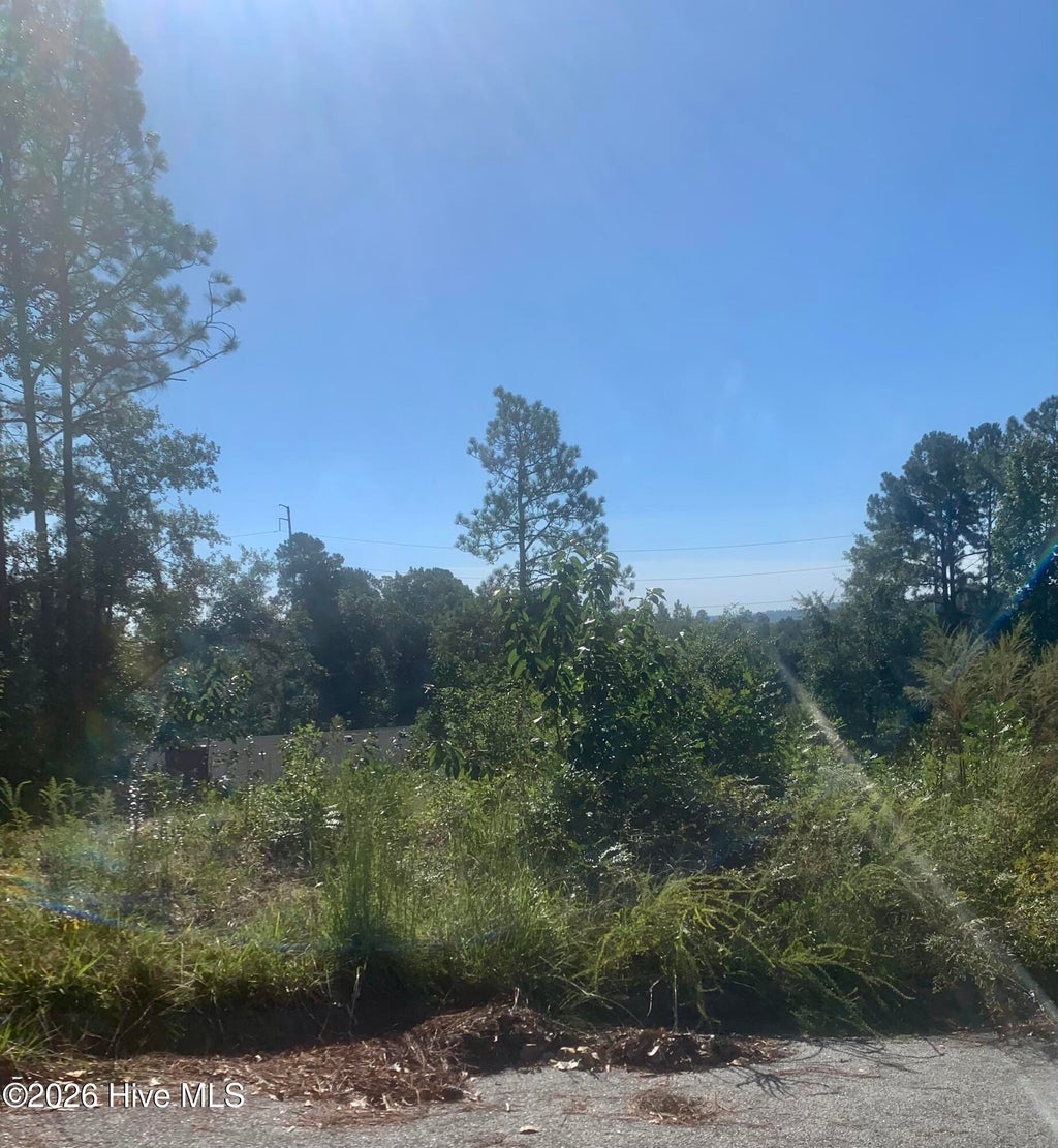 Photo of 2333 Rutherford Avenue, Augusta, GA 30906 (MLS # 100607038)