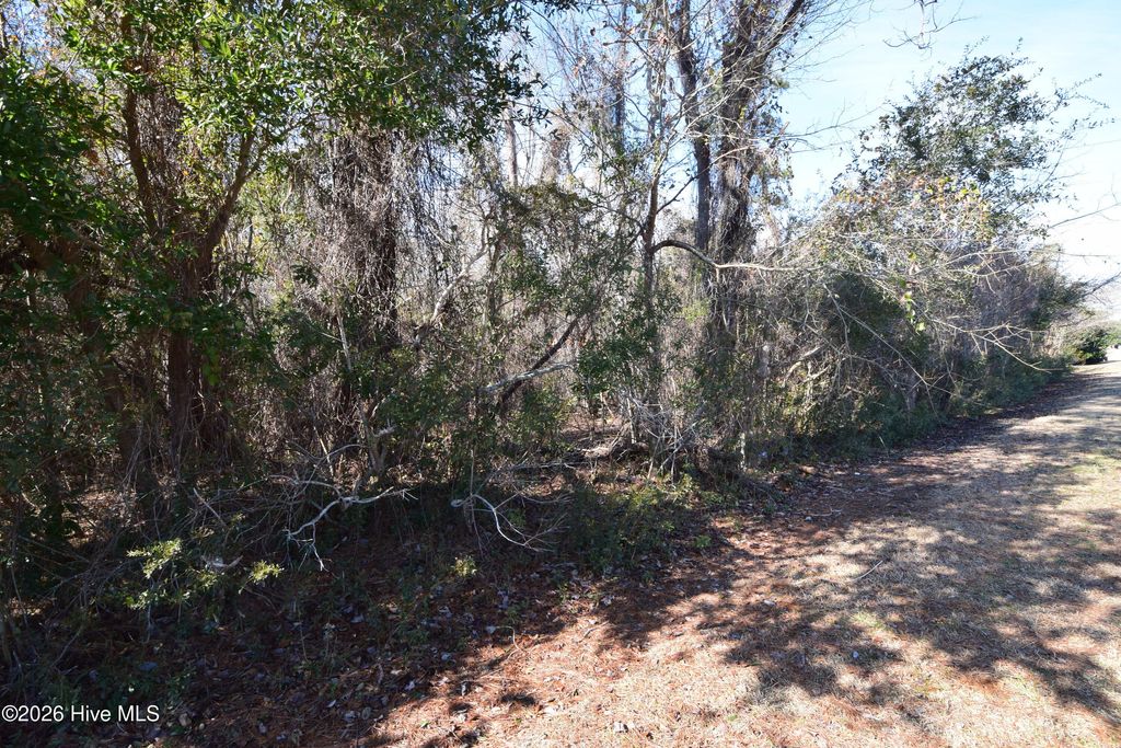 Photo of 6109 Gondolier Drive, New Bern, NC 28560 (MLS # 100554540)