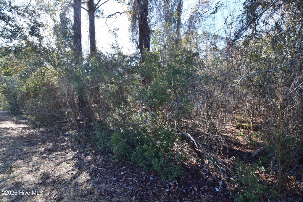 Photo of 6109 Gondolier Drive, New Bern, NC 28560 (MLS # 100554540)