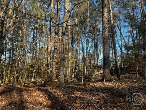 Vacant Land For Sale - Alpine Way<br/> Lavonia, GA 30553