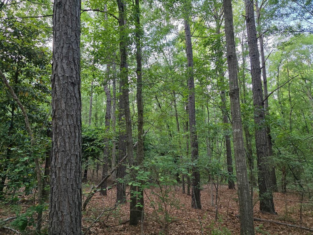 Photo of 11 Woodberry Lane, North Augusta, SC 29841 (MLS # 555548)