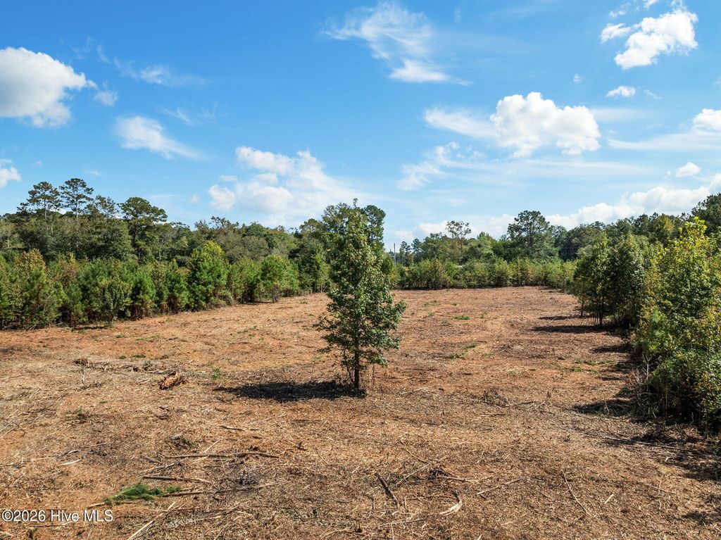 Photo of 1 Jolly Ole Field Road, Grifton, NC 28530 (MLS # 100548106)