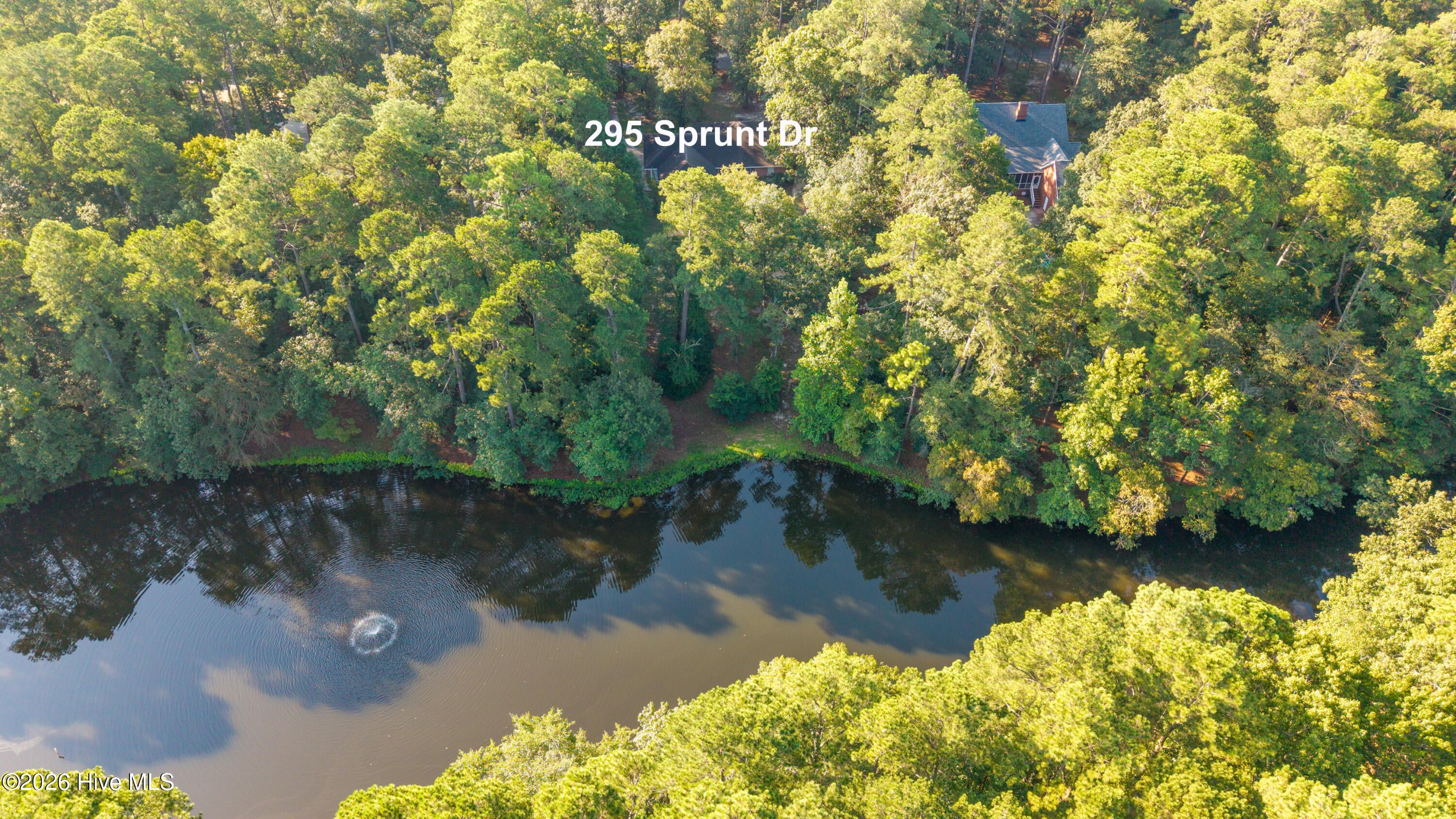 295 Sprunt Drive