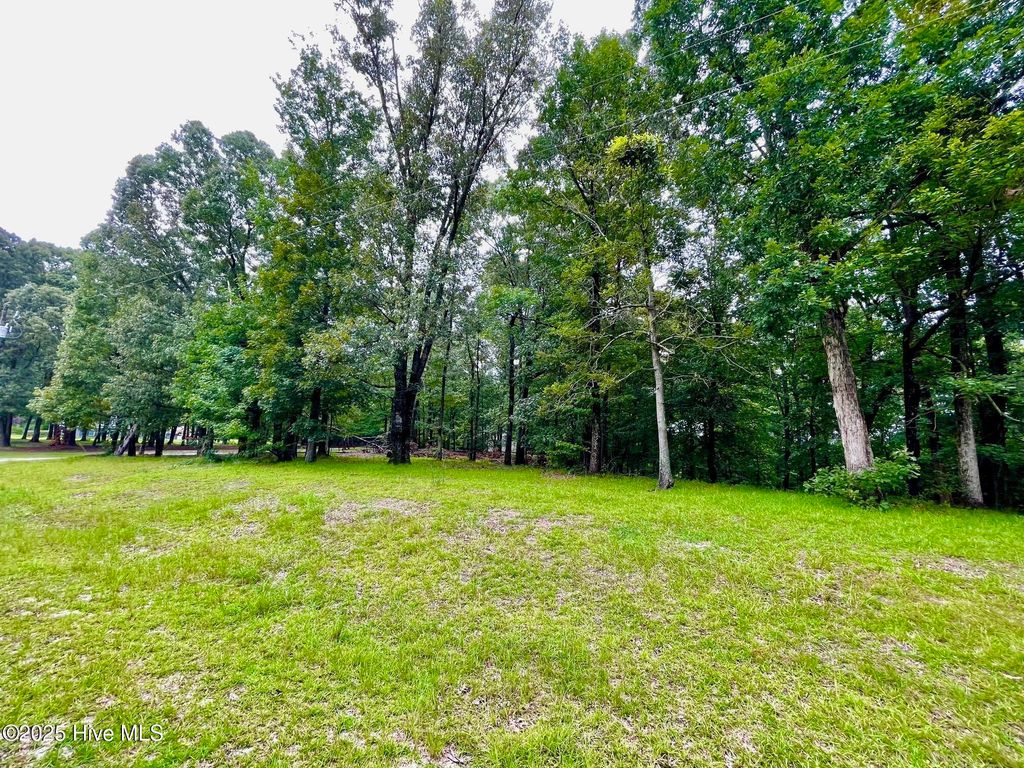 Photo of 0 Hillcrest Drive, Elizabethtown, NC 28337 (MLS # 100524084)
