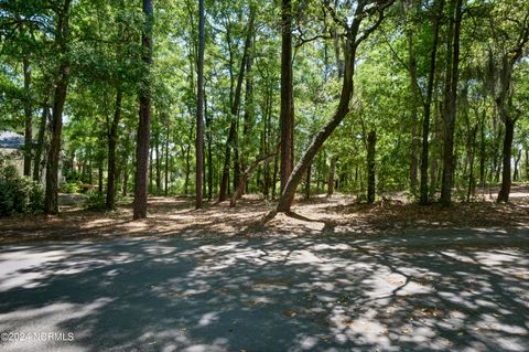 Tiny photo for 109 Island Bridge Way, Wilmington, NC 28412 (MLS # 100545890)
