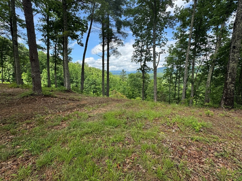 Lot 62 62 Thundering Hill - Photo 4