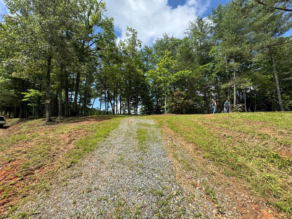 Lot 62 62 Thundering Hill - Photo 2