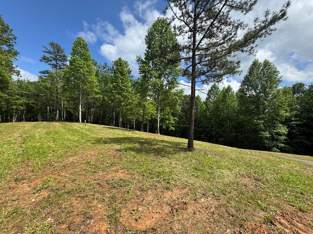 Lot 62 62 Thundering Hill - Photo 3