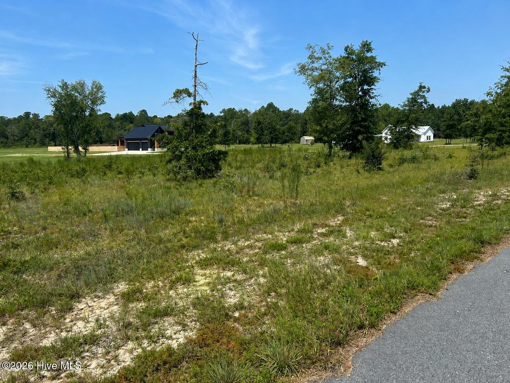 Photo of 1435 Paris Avenue, Swainsboro, GA 30401 (MLS # 100603429)