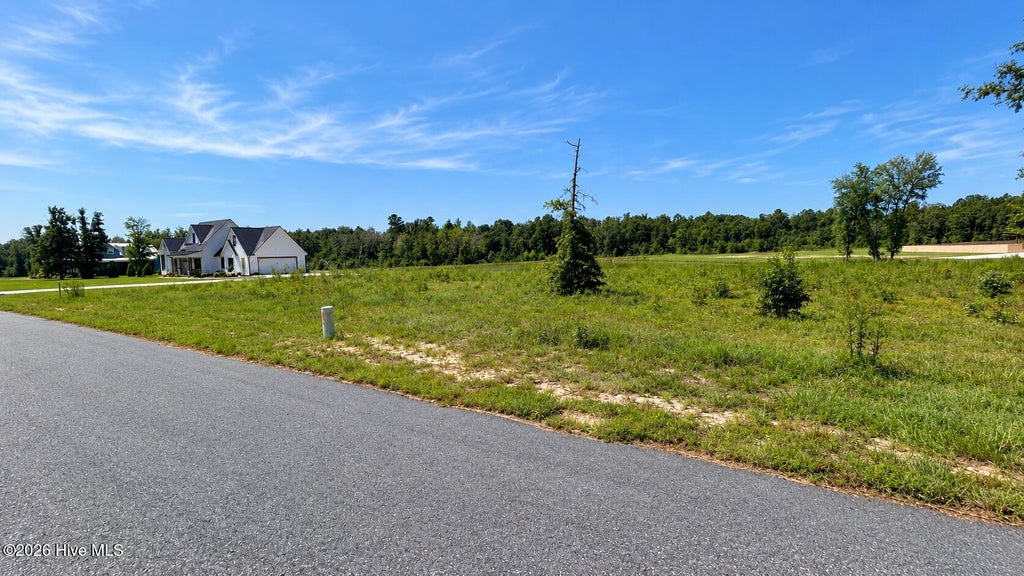 Photo of 1435 Paris Avenue, Swainsboro, GA 30401 (MLS # 100603429)