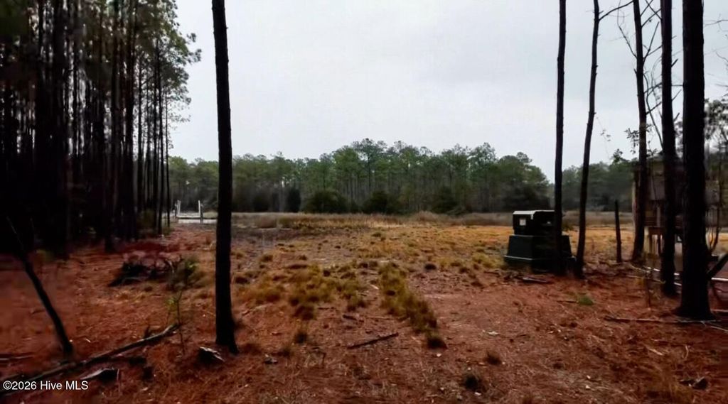 Photo of 499 Tar Creek Road, Oriental, NC 28571 (MLS # 100562524)