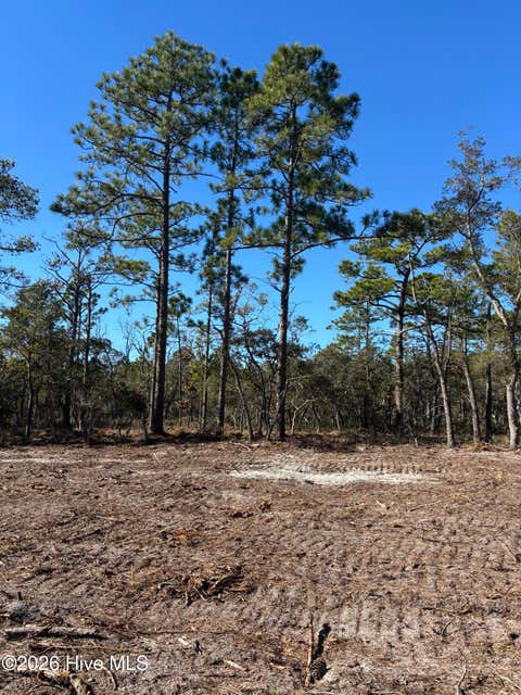 Vacant Land For Sale - LOT 125 Coral Gull Street<br/> Brunswick County, Southport, NC 28461