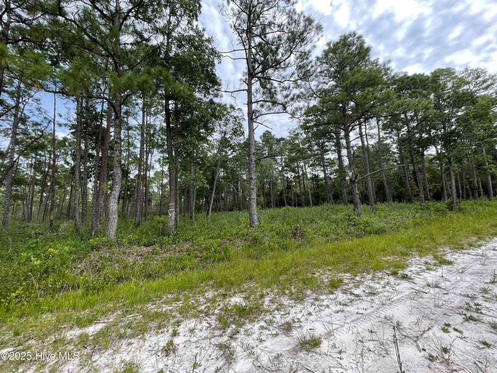 Photo of 811 Brittany Road, Southport, NC 28461 (MLS # 100527891)