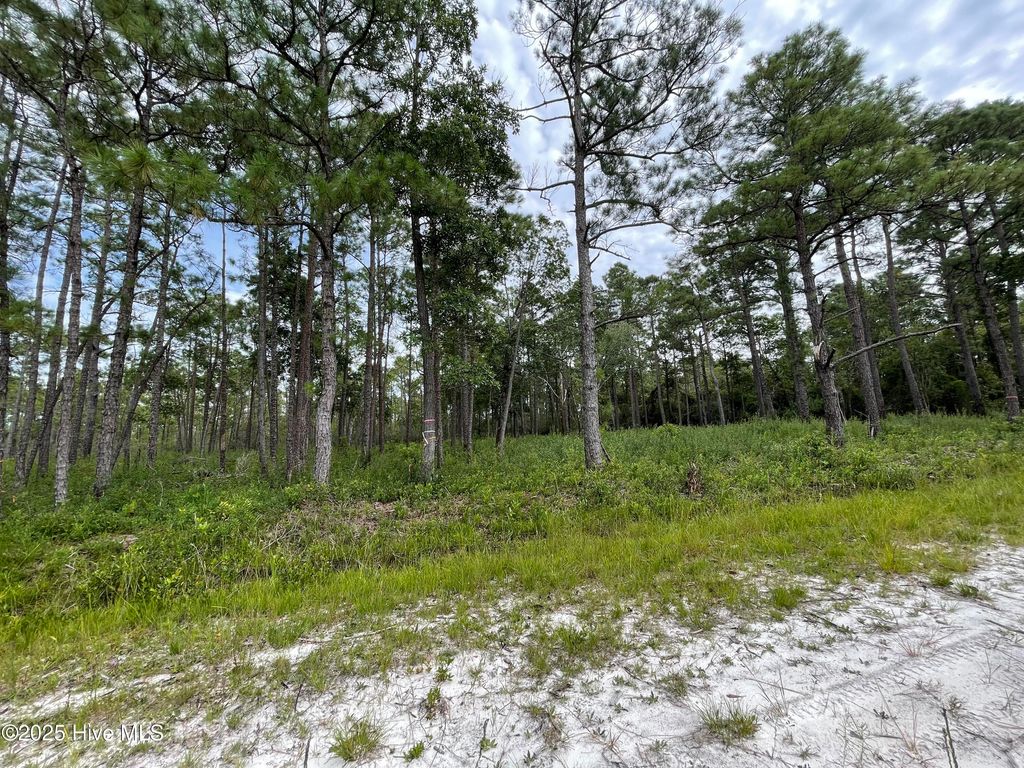 Photo of 811 Brittany Road, Southport, NC 28461 (MLS # 100527891)