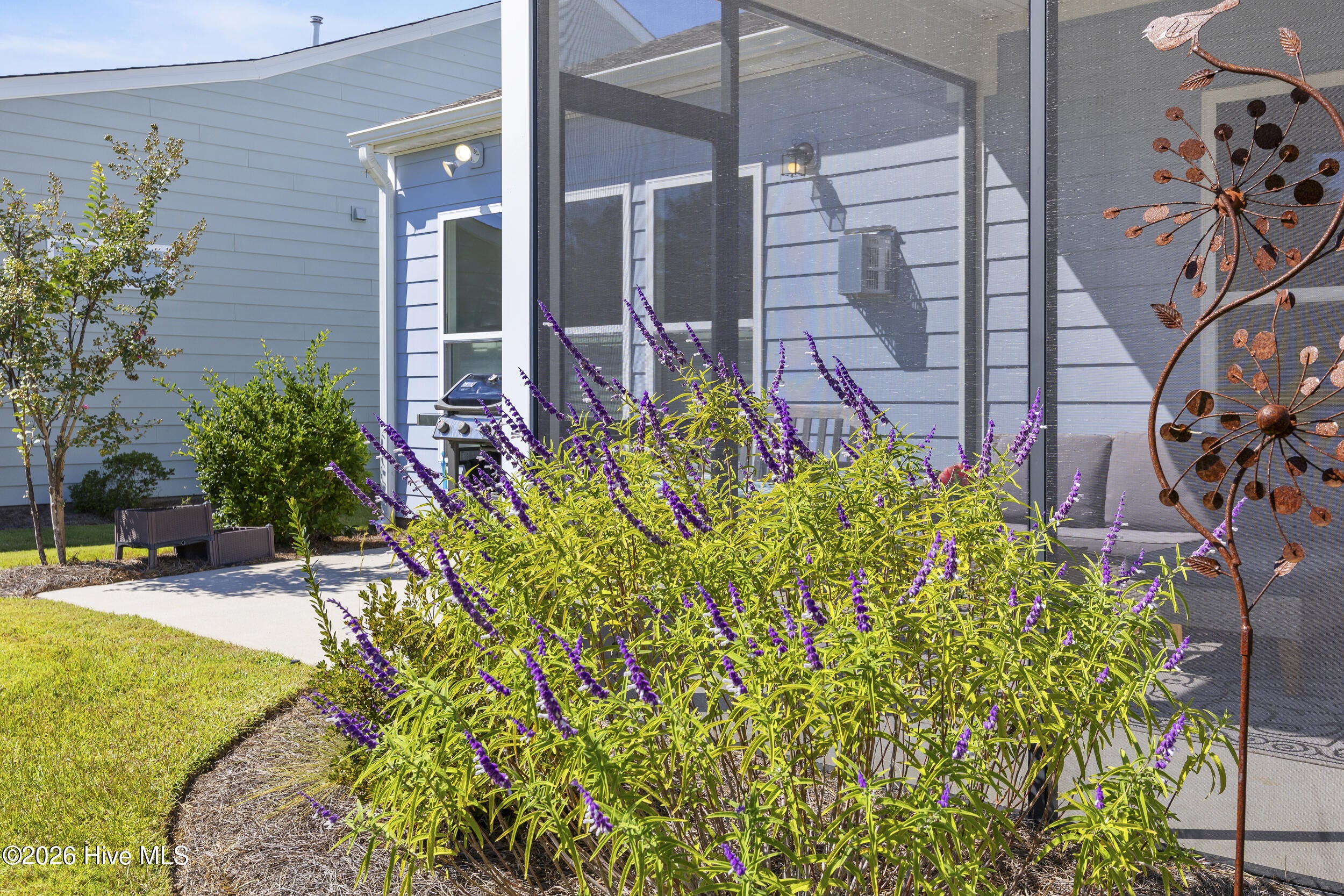 3205 Laughing Gull Terrace