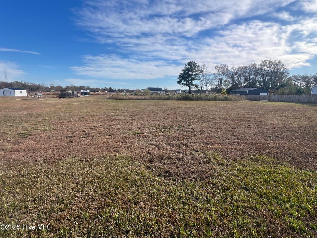 Photo of 304 Francktown Road, Richlands, NC 28574 (MLS # 100541387)