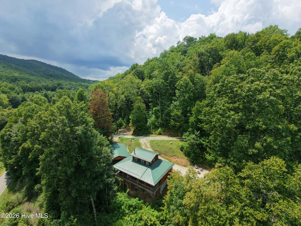 Photo of 119 Bucks Nest Drive, Topton, NC 28781 (MLS # 100596666)