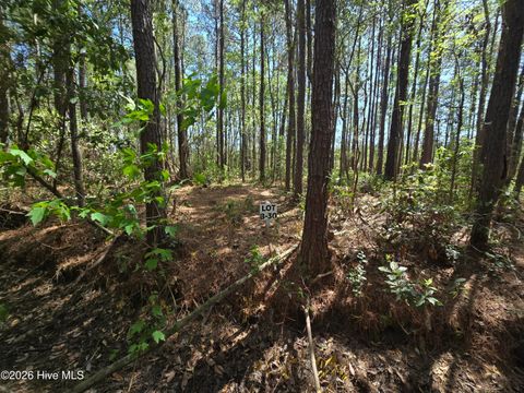 Tiny photo for 30 Renee Drive, Hampstead, NC 28443 (MLS # 100567161)