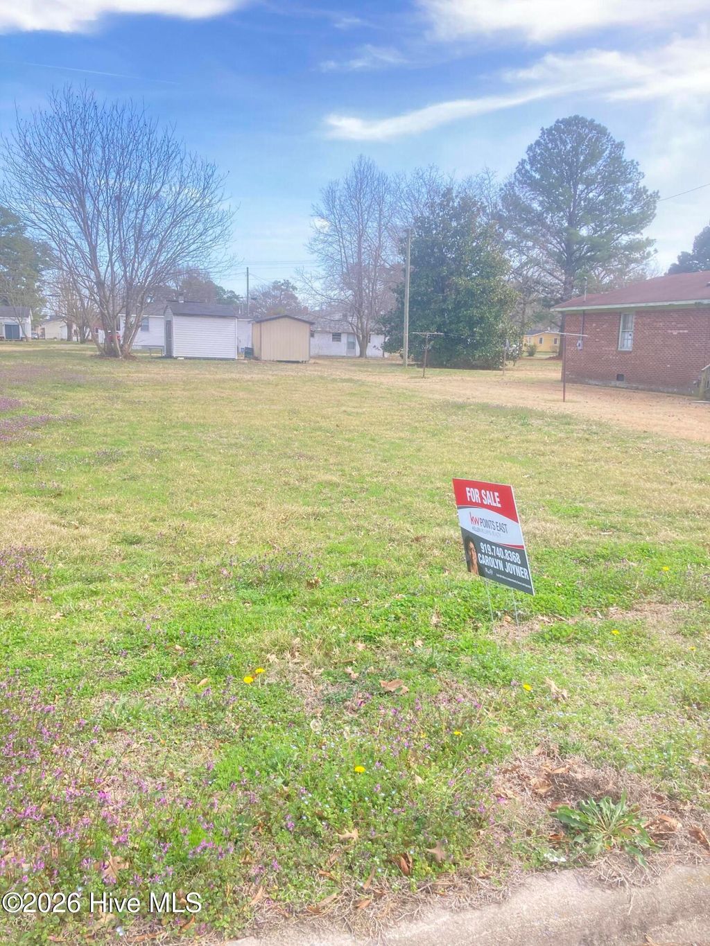 Photo of 999999999 Williams Street, Farmville, NC 27828 (MLS # 100557612)
