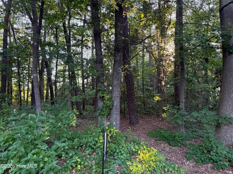 Vacant Land For Sale - LOT 7 Boyd Park Drive<br/> Pitt County, Greenville, NC 27858