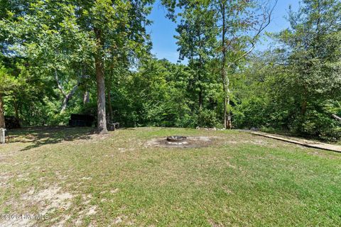 Tiny photo for 561 White Tail Lane, Willard, NC 28478 (MLS # 100588140)