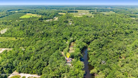 Tiny photo for 561 White Tail Lane, Willard, NC 28478 (MLS # 100588140)