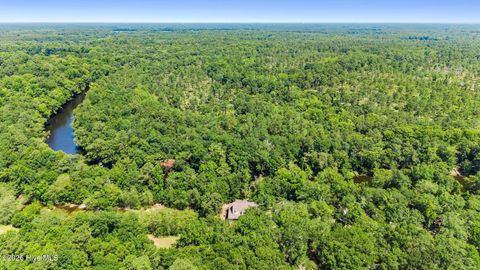 Tiny photo for 561 White Tail Lane, Willard, NC 28478 (MLS # 100588140)