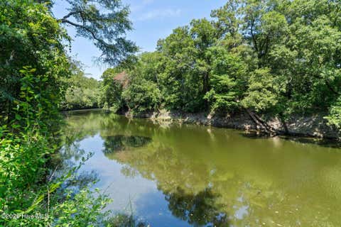 Tiny photo for 561 White Tail Lane, Willard, NC 28478 (MLS # 100588140)