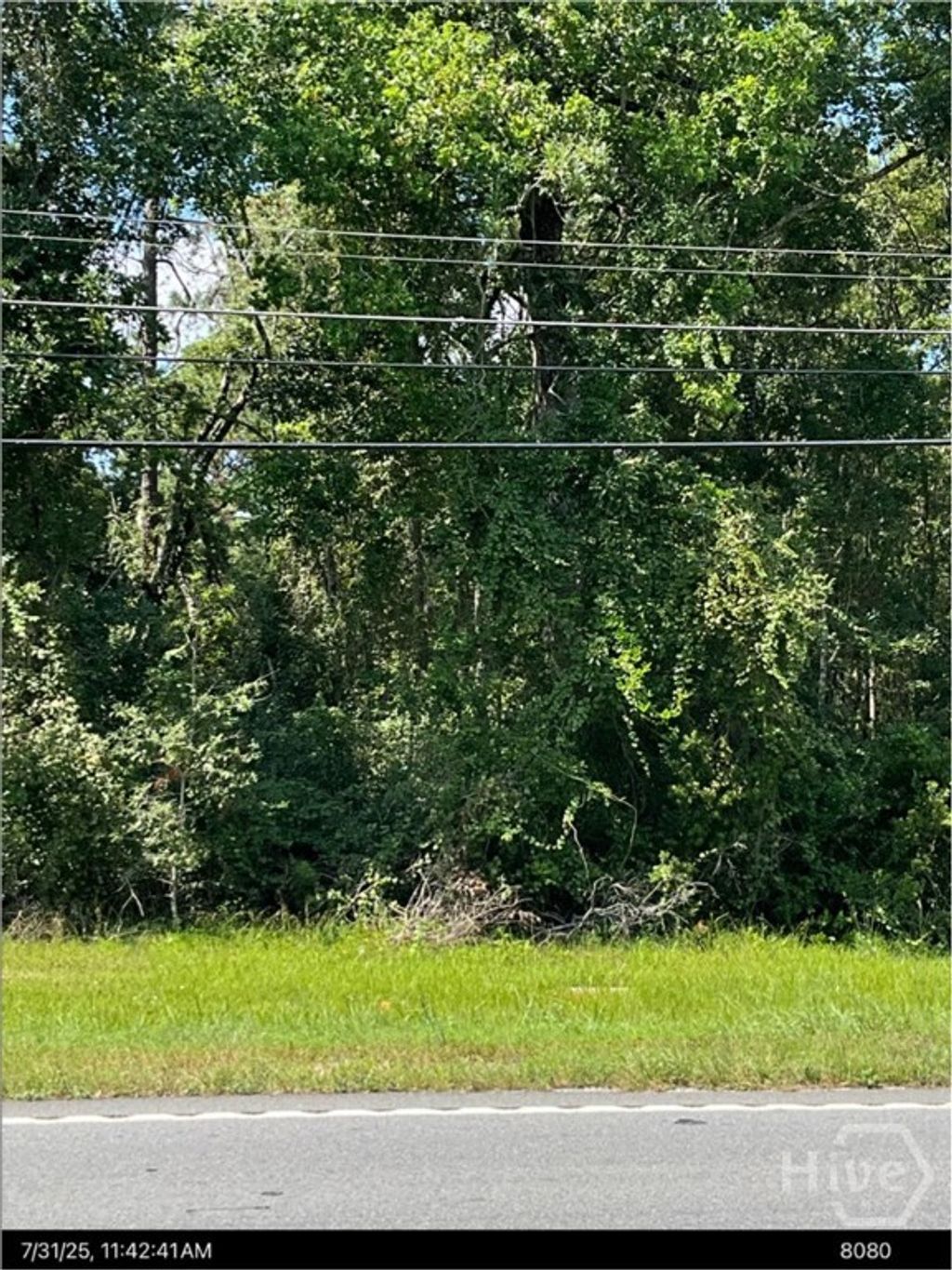 Photo of 0 S Ga Hwy 341, Jesup, GA 31545 (MLS # SA348876)