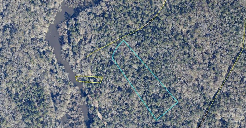 Photo of 00 Spikes Road, Reidsville, GA 30453 (MLS # SA339283)