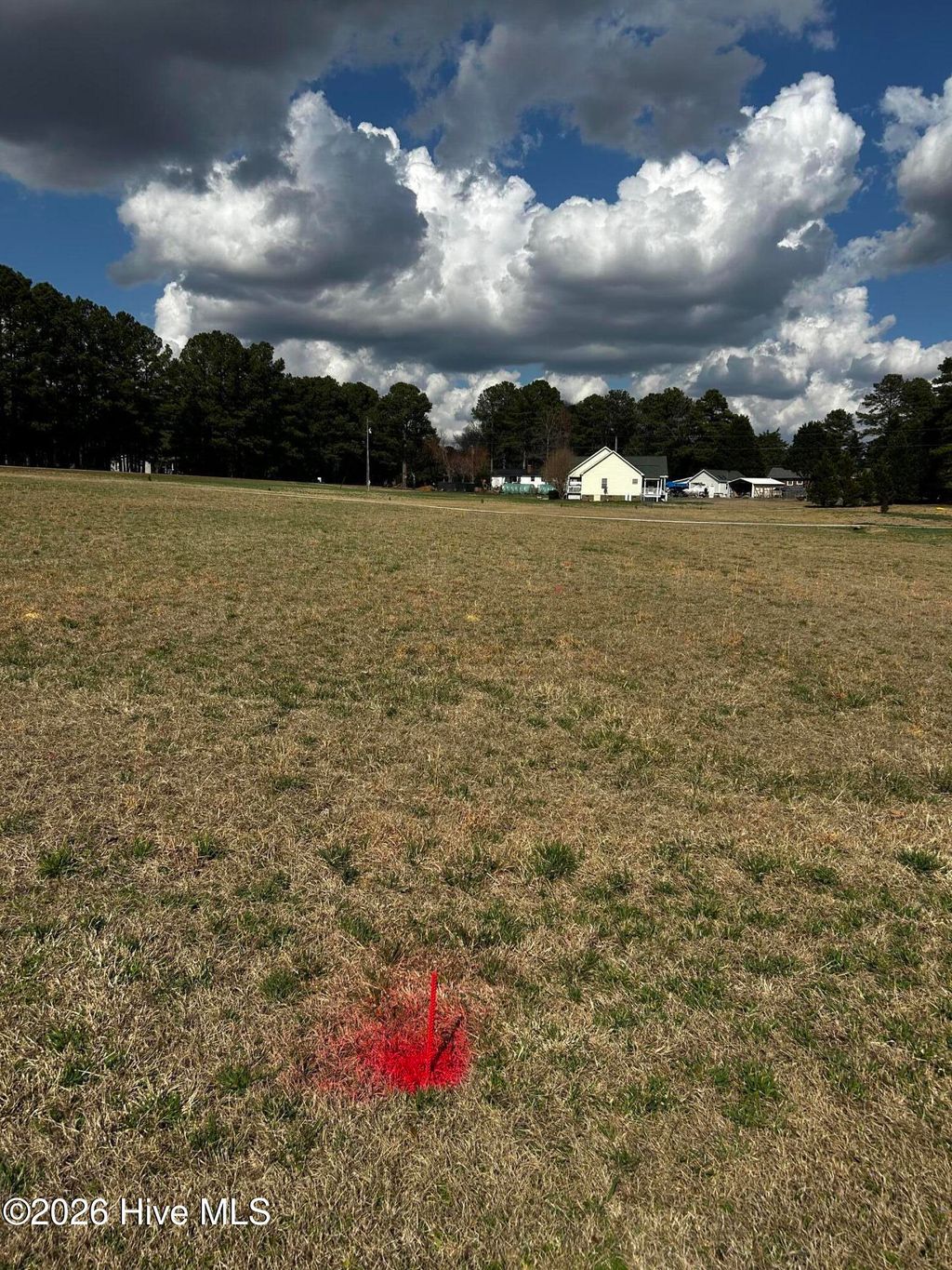 Photo of 954 Blue Pond Road, Clayton, NC 27520 (MLS # 100558852)