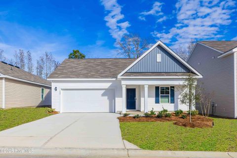 Homes For Sale - 6506 Rye Grass Road #LOT 301<br/> New Hanover County, Castle Hayne, NC 28429