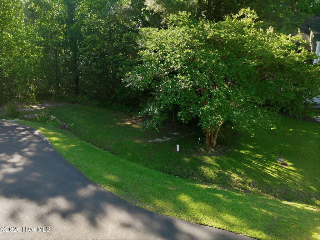 Photo of 108 Bridge Tender Cove, Sneads Ferry, NC 28460 (MLS # 100579385)