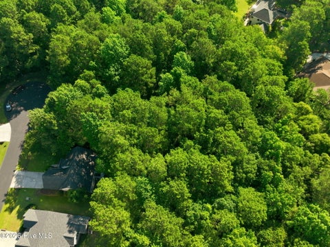 Tiny photo for 108 Bridge Tender Cove, Sneads Ferry, NC 28460 (MLS # 100579385)