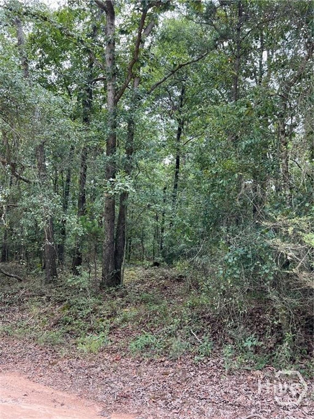Photo of 0 Lake Deerfield Rd, Hull, GA 30646 (MLS # CL349446)