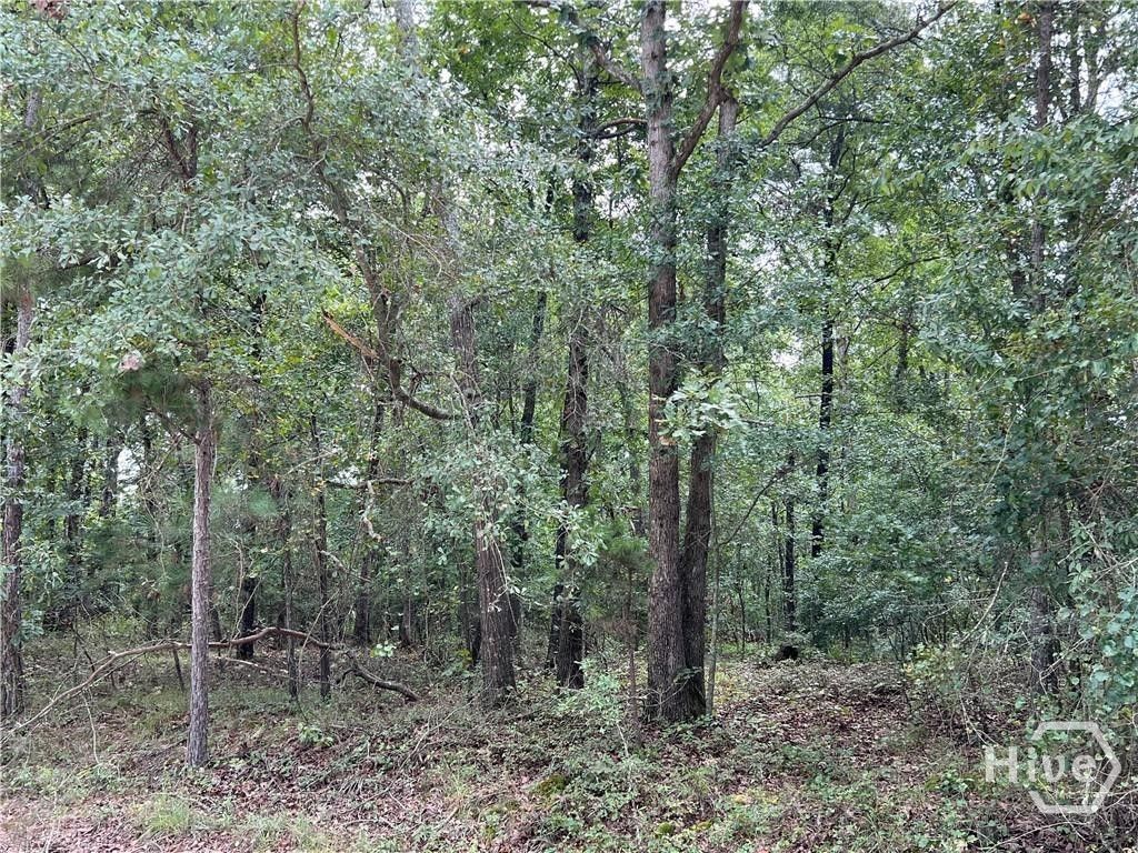 Photo of 0 Lake Deerfield Rd, Hull, GA 30646 (MLS # CL349446)