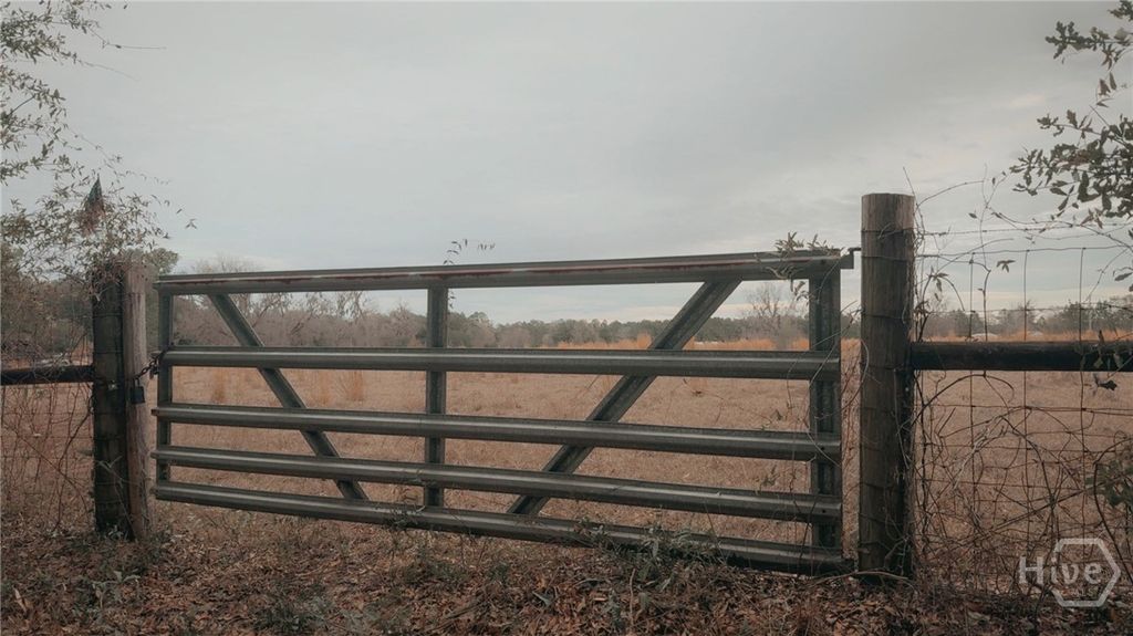 Photo of 0 Sylvester Drive, Nahunta, GA 31553 (MLS # SA346840)